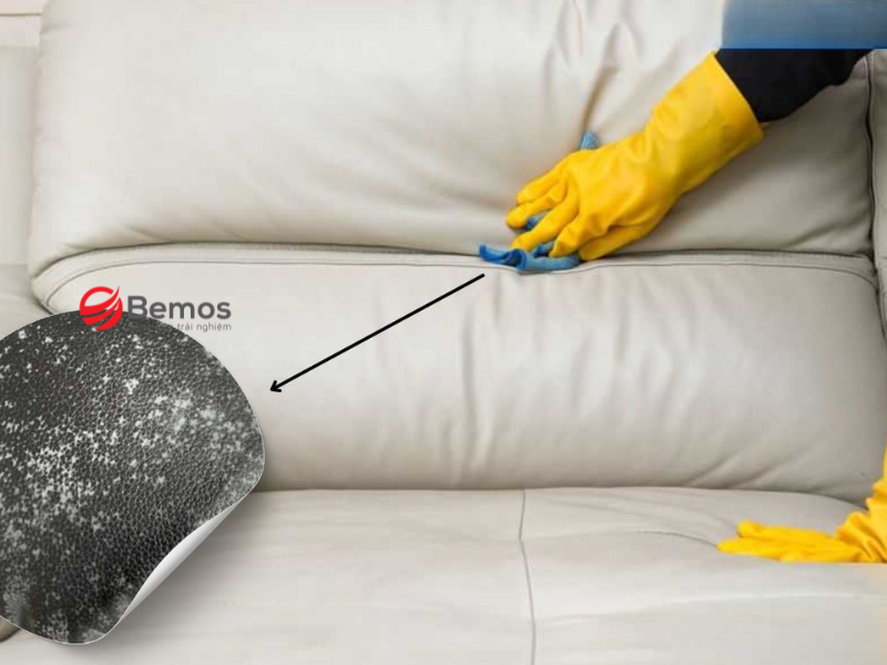 Cách vệ sinh ghế sofa da