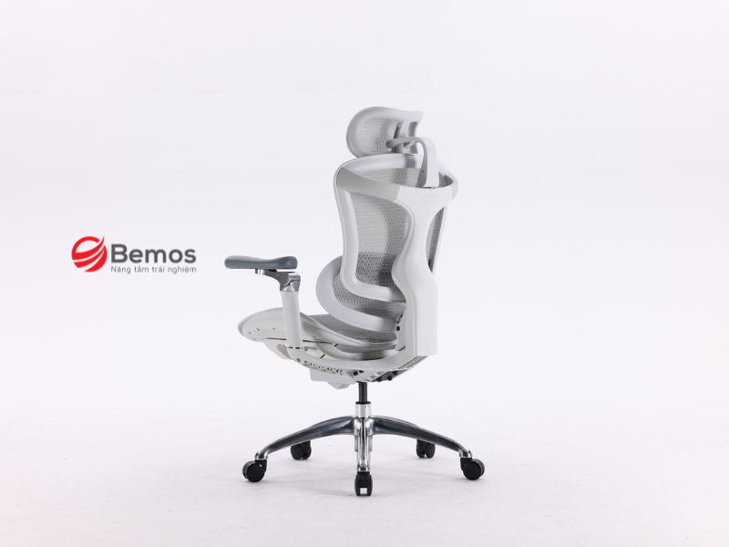 Khi nào ghế ergonomic không phải lựa chọn tối ưu