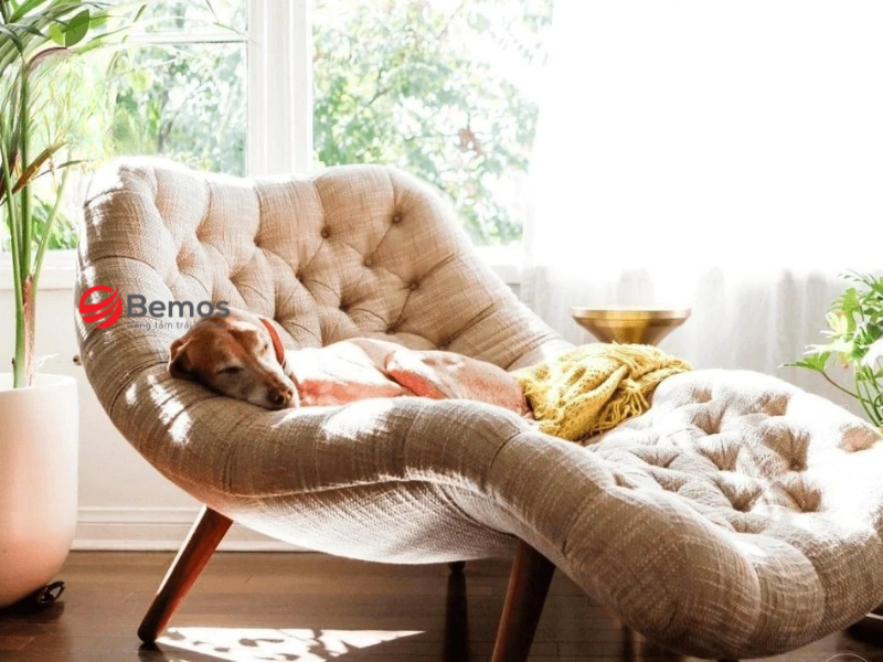 Ghế sofa thư giãn