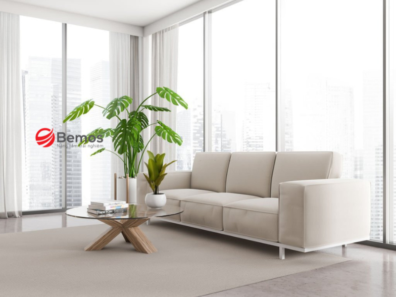 Mua sofa dựa trên điều kiện cụ thể của từng nhà