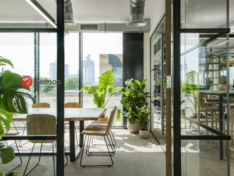 Thiết kế văn phòng xanh theo Biophilic Design