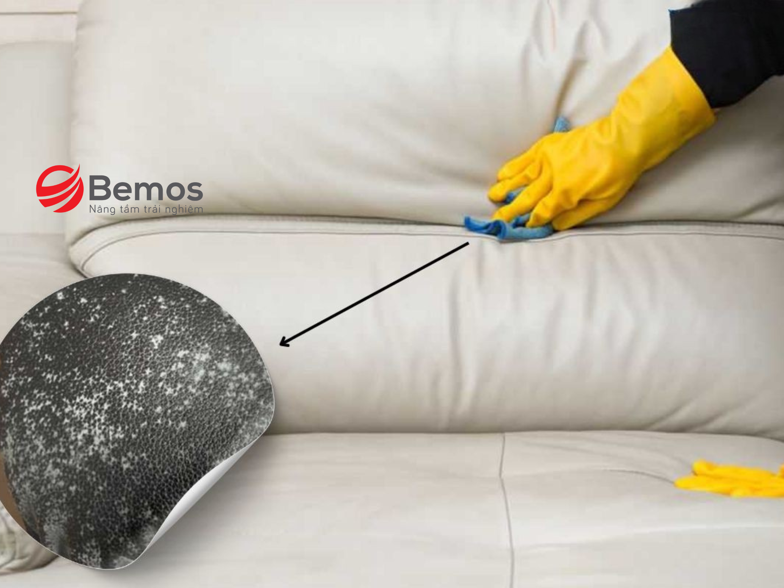 ve-sinh-sofa-tai-nha-4